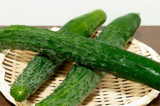 Photo, japanese cucumber (cucumis sativus var. japonica), cucumber, green and yellow vegetables, 