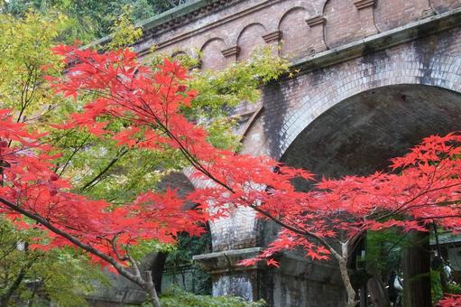 南禅寺 水路閣 レンガ造り 紅葉 錦秋 南禅寺 水路閣 レンガ造り 紅葉 錦秋 南禅寺,水路閣,琵琶湖疏水の写真素材
