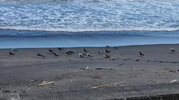 千葉 海 千葉 海 海,ビーチ,海岸の写真素材