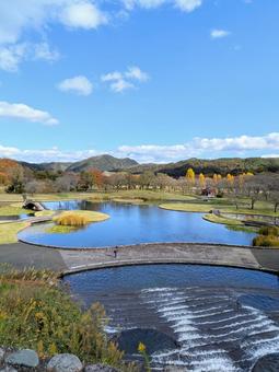 秋のみちのく杜の湖畔公園 秋,秋晴れ,公園の写真素材