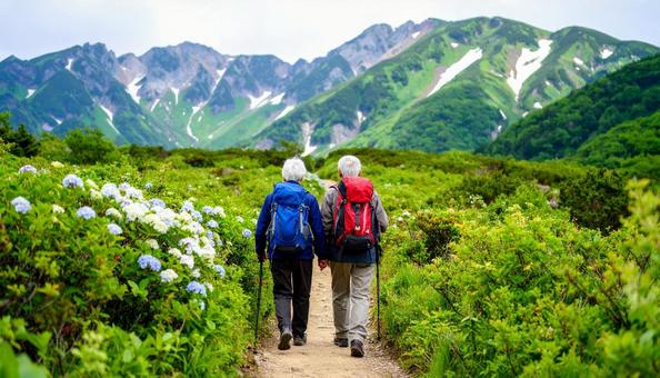 緑の森の中、山歩きするシニア夫婦の写真