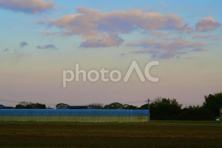 田舎の夕方 道,道路,二車線の写真素材