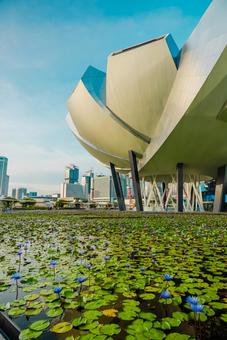 【シンガポール】アートサイエンス シンガポール,マリーナベイサンズ,singaporeの写真素材