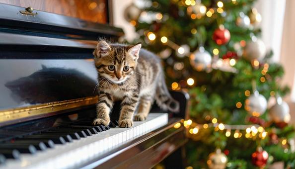 ピアノを踏んで遊ぶ猫とクリスマスツリー ピアノを踏んで遊ぶ猫とクリスマスツリーの写真