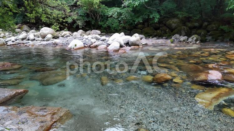 新緑の中の清流 風景,新緑,自然の写真素材