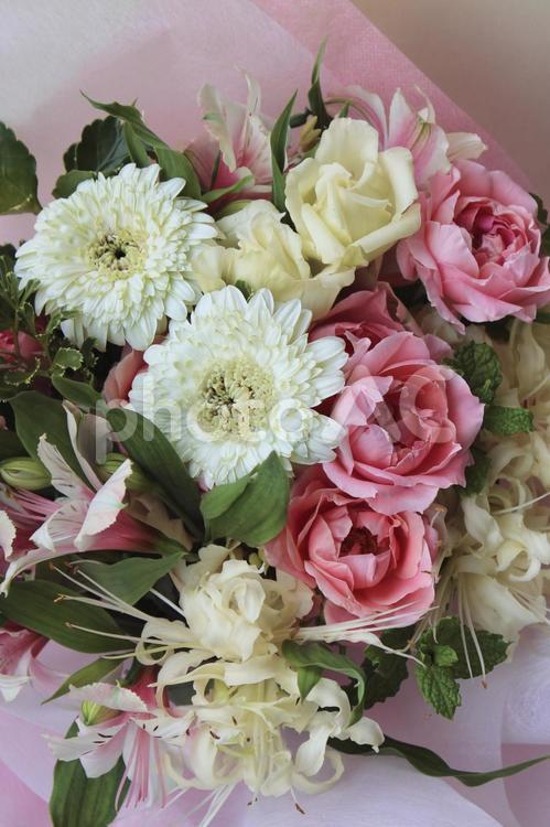 華やかなバラとガーベラの花束　縦構図 花束,花,バラの写真素材