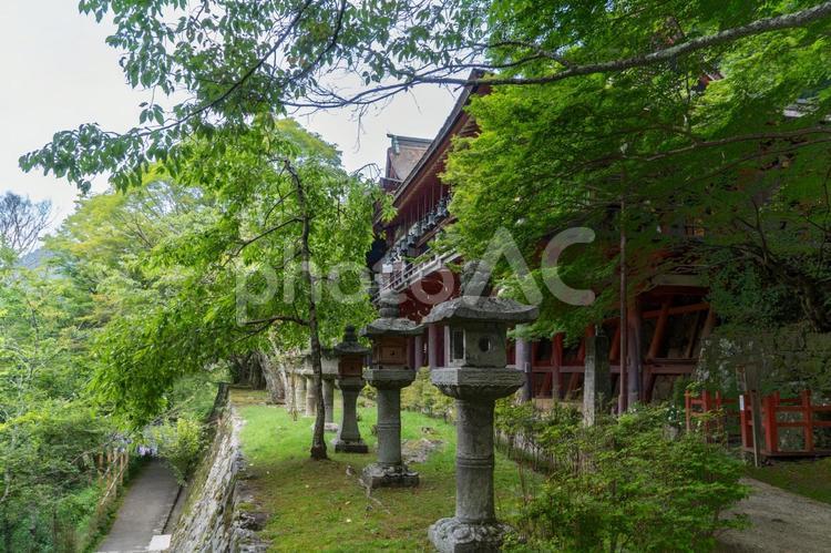 奈良　談山神社　拝殿 談山神社,談山,神社の写真素材