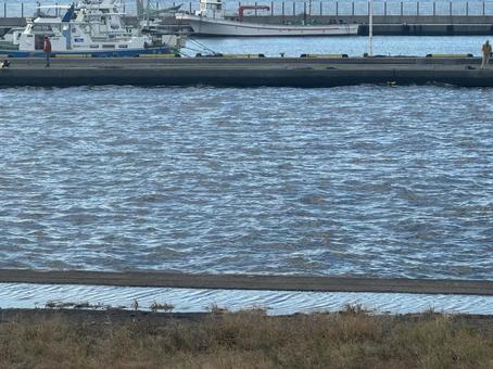 海 海,神奈川,seaの写真素材