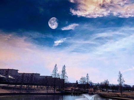 Half moon rising over the park, JPG