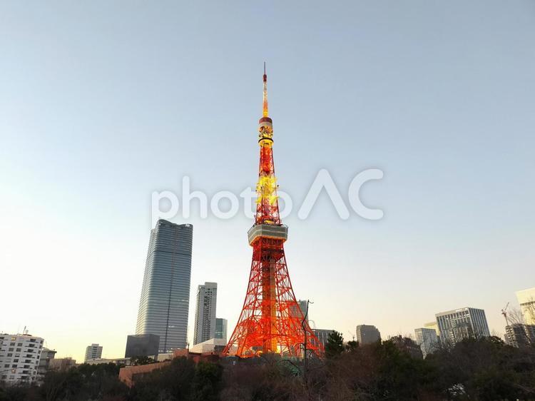 夕焼けの東京タワー 東京タワー,風景,空の写真素材