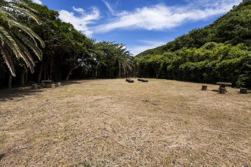 芭蕉園地2（田原市） 公園,観光スポット,田原市の写真素材