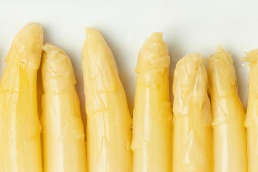Rows of white asparagus, JPG