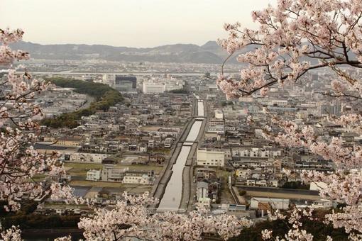 桜越しに望む街並み 桜越しに望む街並みの写真