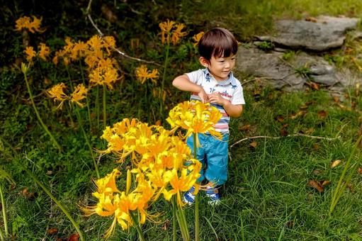 <素材>公園にヒガンバナを見にきた男の子 <素材>公園にヒガンバナを見にきた男の子 子供,男性,人物の写真素材