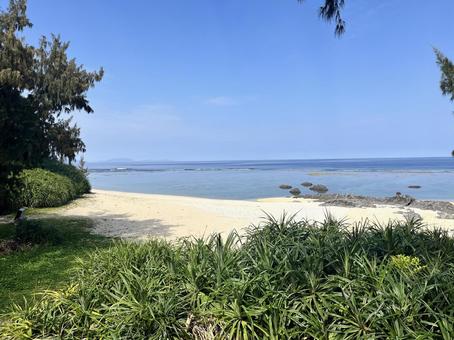南の島の浜辺の風景1 南の島の浜辺の風景1の写真