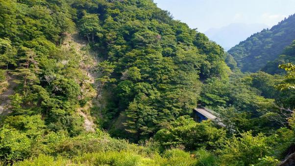 ユーシン渓谷の林道から眺める山 ハイキング,登山,林道の写真素材