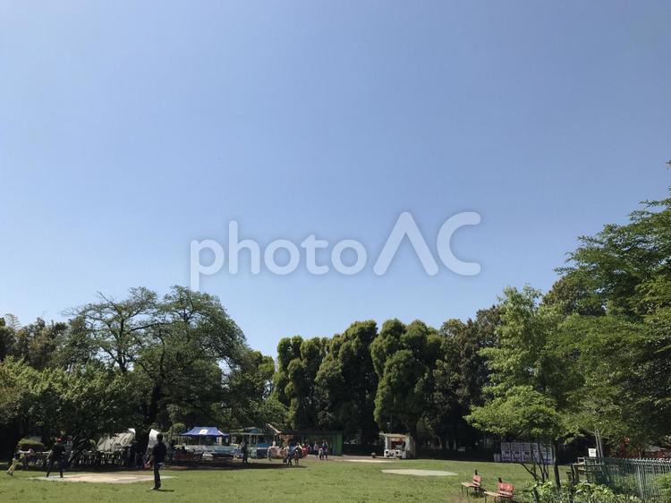 最高の行楽日和 公園,木,風景の写真素材