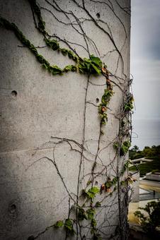 兵庫　淡路島　淡路夢舞台 兵庫県,兵庫,淡路島の写真素材