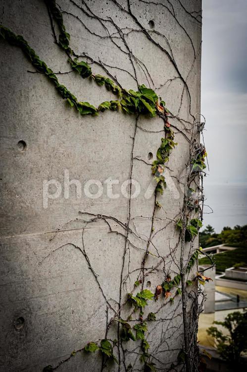 兵庫　淡路島　淡路夢舞台 兵庫県,兵庫,淡路島の写真素材