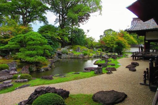 京都府-醍醐寺-三宝院-庭園 醍醐寺,寺,深雪山の写真素材