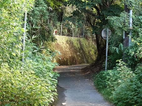 古道3 古道3の写真