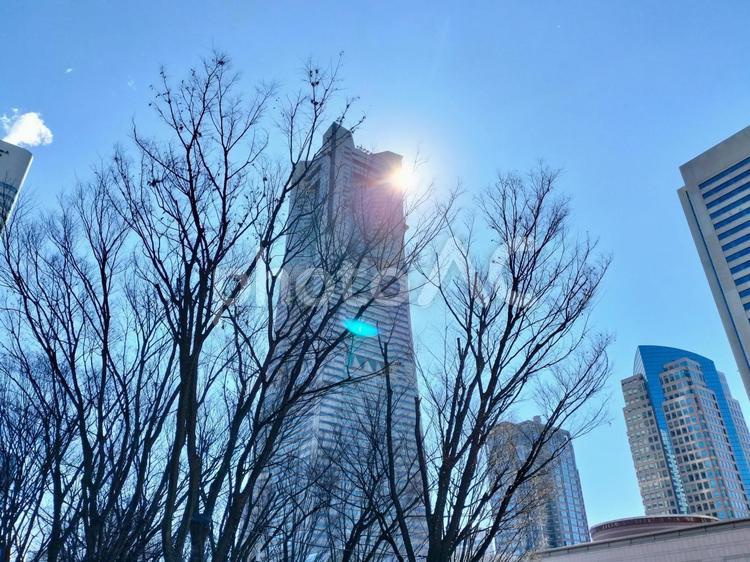 横浜の風景 ランドマークタワー,日差し,横浜の写真素材