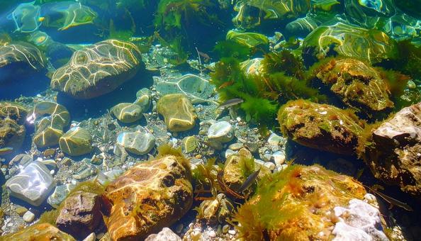 海中から見る岩場の海岸 海中から見る岩場の海岸の写真