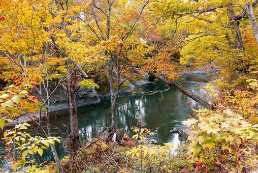 秋の滝上町の風景 秋の滝上町の風景 滝上町,滝上渓谷錦仙峡,錦仙峡の写真素材