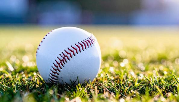 野球ボール 野球ボールの写真