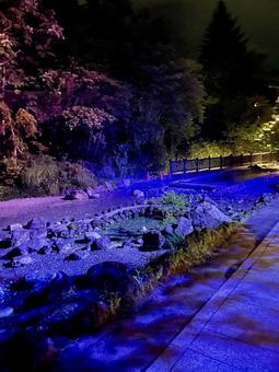 草津温泉 西の河原 夜 草津温泉 西の河原 夜 草津温泉,西の河原,草津の写真素材