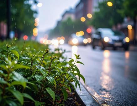 道端の雑草に輝く水滴と街の光 道端の雑草に輝く水滴と街の光の写真