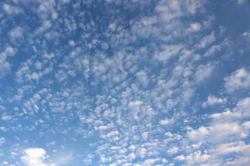 うろこ雲 うろこ雲の写真