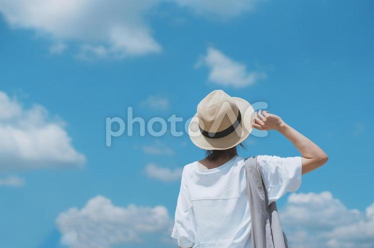 麦わら帽子の女性後ろ姿と青空背景 麦わら帽子,帽子,青空の写真素材