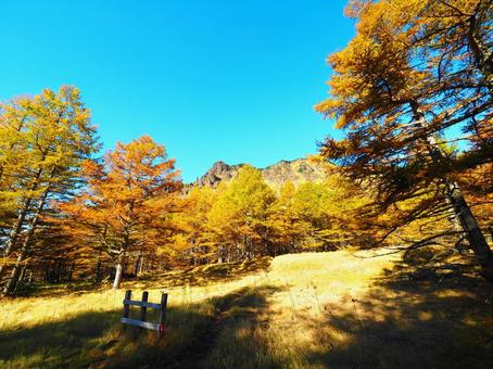 紅葉(黒斑山・浅間山) 紅葉(黒斑山・浅間山)の写真
