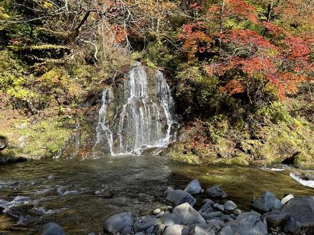 中野もみじ山 中野もみじ山の写真