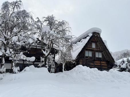 冬の白川郷2 冬の白川郷,白川郷,雪の写真素材