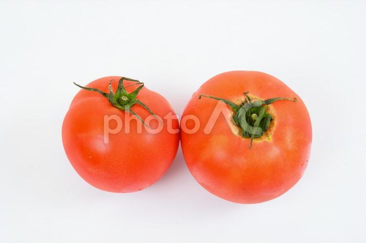２個のトマト　白背景 トマト,野菜,大玉の写真素材