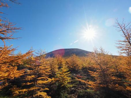 紅葉(黒斑山・浅間山) 紅葉(黒斑山・浅間山)の写真