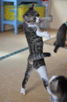 立った! 立った!の写真