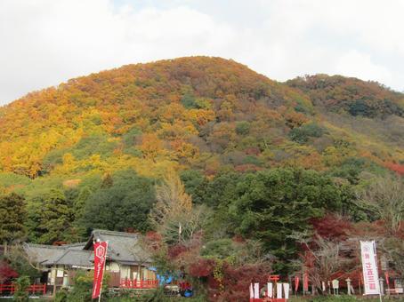 出雲大神宮の秋 京都,亀岡,出雲の写真素材