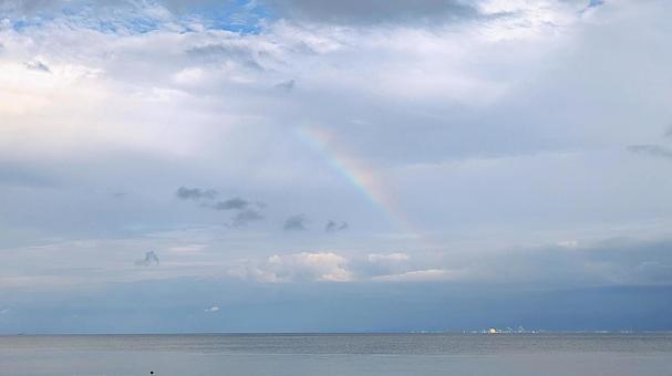 雨上がりの短い贈り物の写真