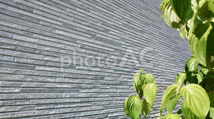 住宅の外壁・植物のある庭付き 外壁,建築,テクスチャの写真素材