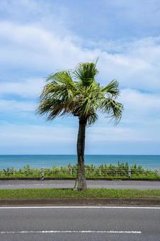 海へ続く道 海へ続く道 海,空,青空の写真素材
