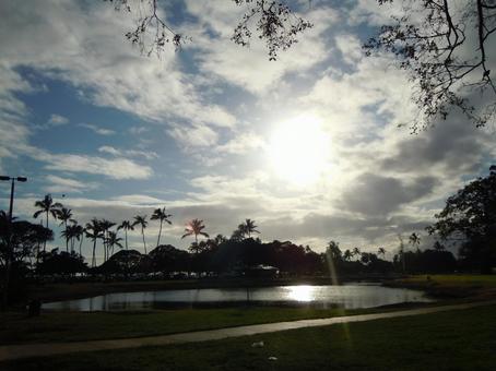 夕方の空とヤシの木(ハワイ) 夕方の空とヤシの木(ハワイ) 夕方,空,ヤシの木の写真素材
