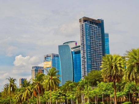 タイのヤシの木と高層ビル群の眺め タイのヤシの木と高層ビル群の眺め 青空,空,スカイラインの写真素材