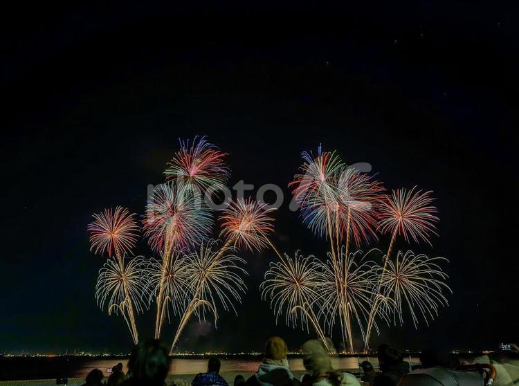 習志野花火大会（1日目） 習志野花火大会,花火,fireworksの写真素材