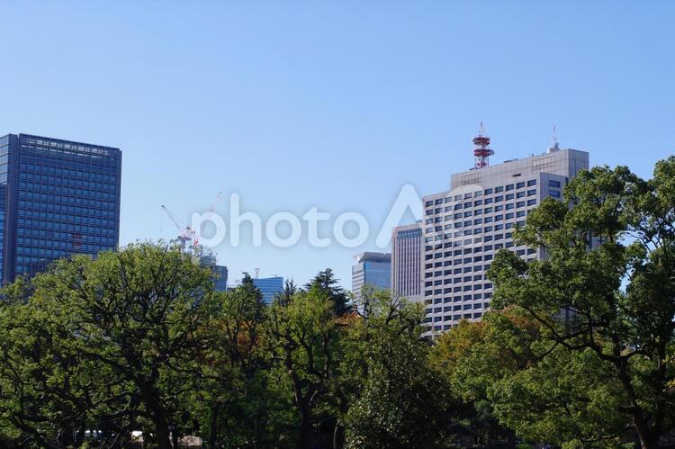 日比谷公園の風景 日比谷公園,都市,東京の写真素材
