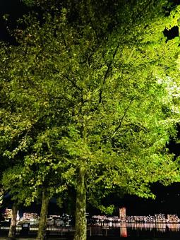 コントラスト コントラストの写真