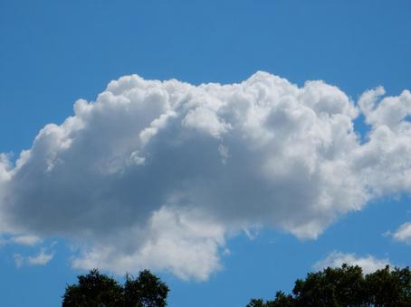 【風景写真】夏空 【風景写真】夏空の写真