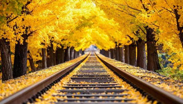 紅葉と線路 紅葉と線路の写真